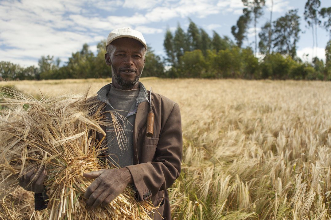 Forward Logistics Ethiopia Services - Consignor Benefits